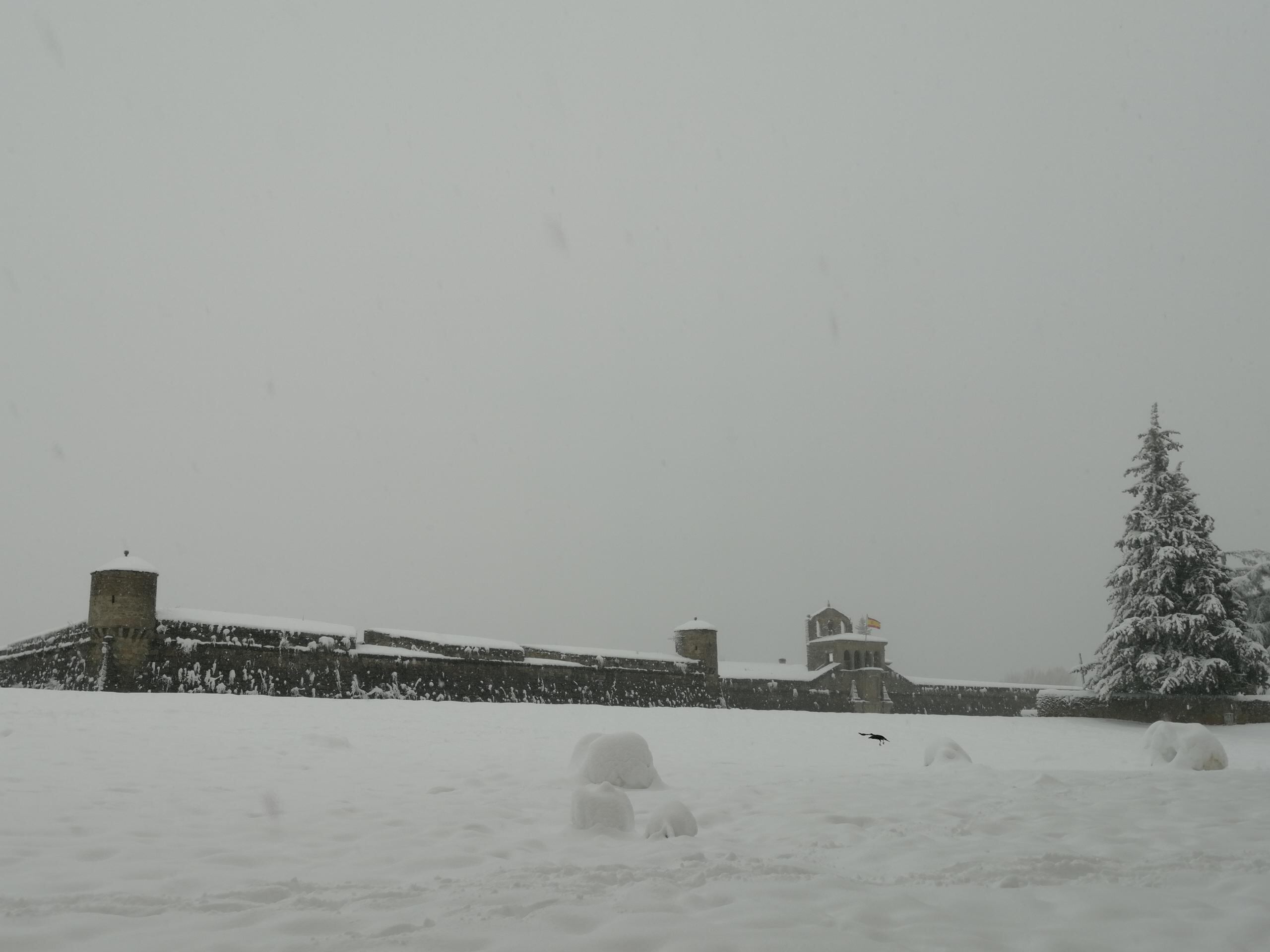 Jaca con nieve este 19 de enero