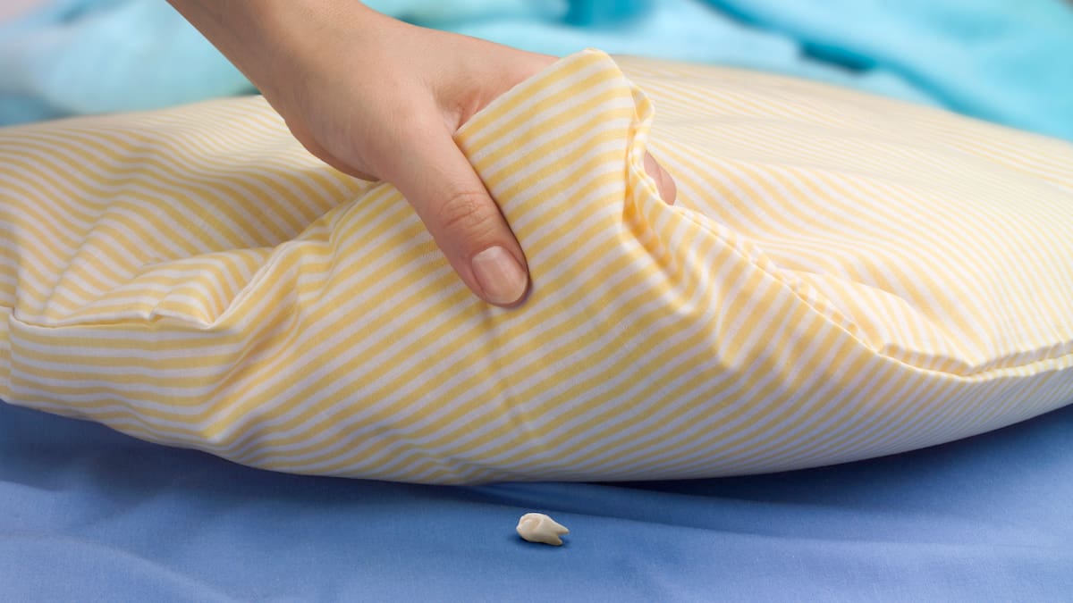 El ratón Pérez es piojoso