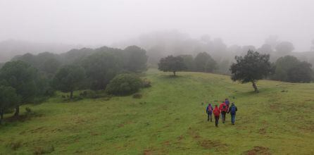 Ruta hacia el Barranco de la Huesa, cerca del Guadiato