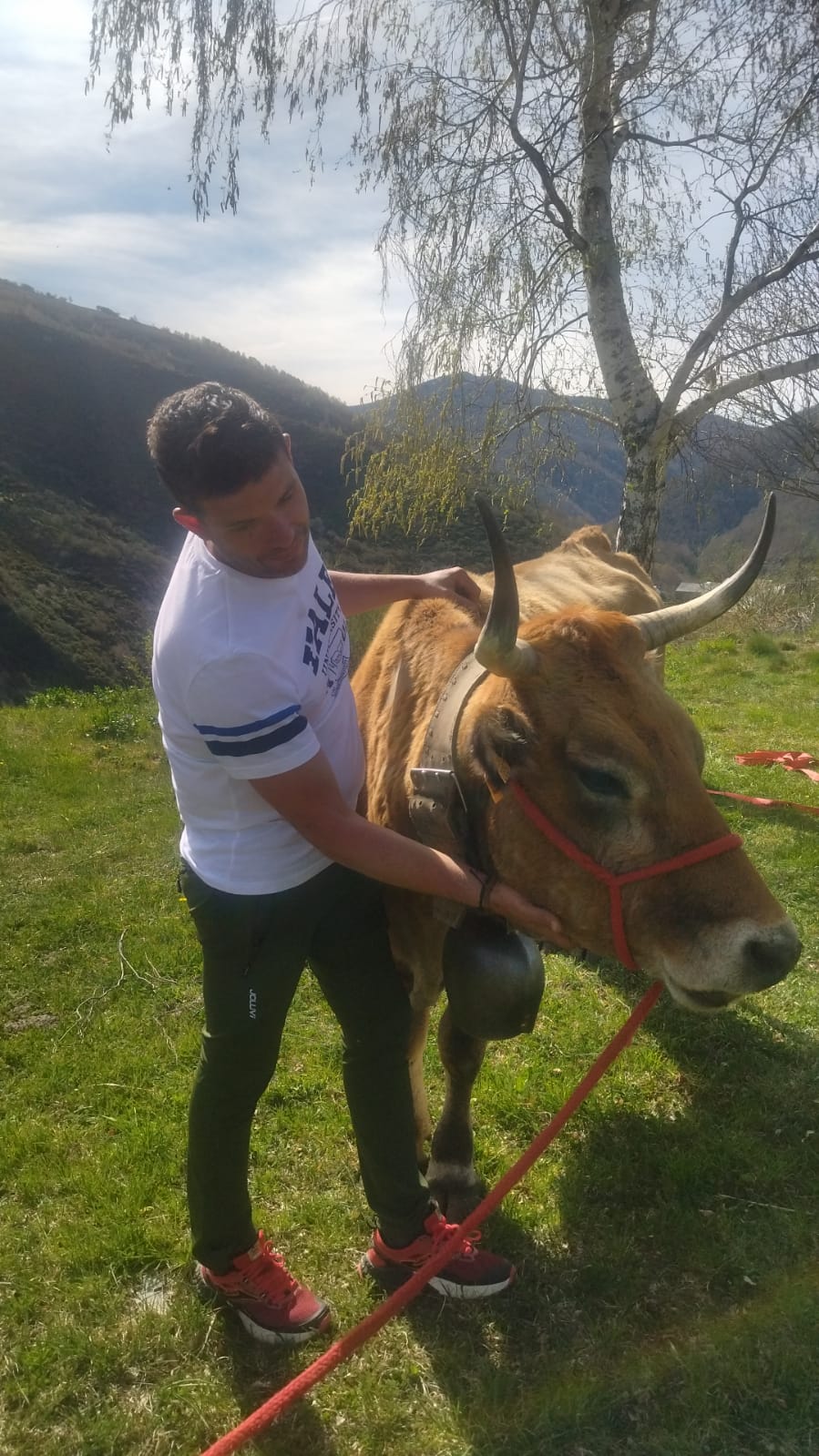 El ganadero Baldo López junto a su vaca Valenciana