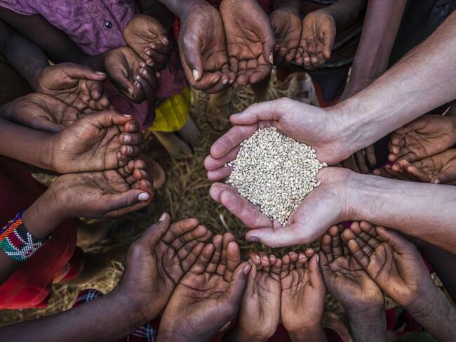 Un voluntario da granos de arroz a niños en Kenia