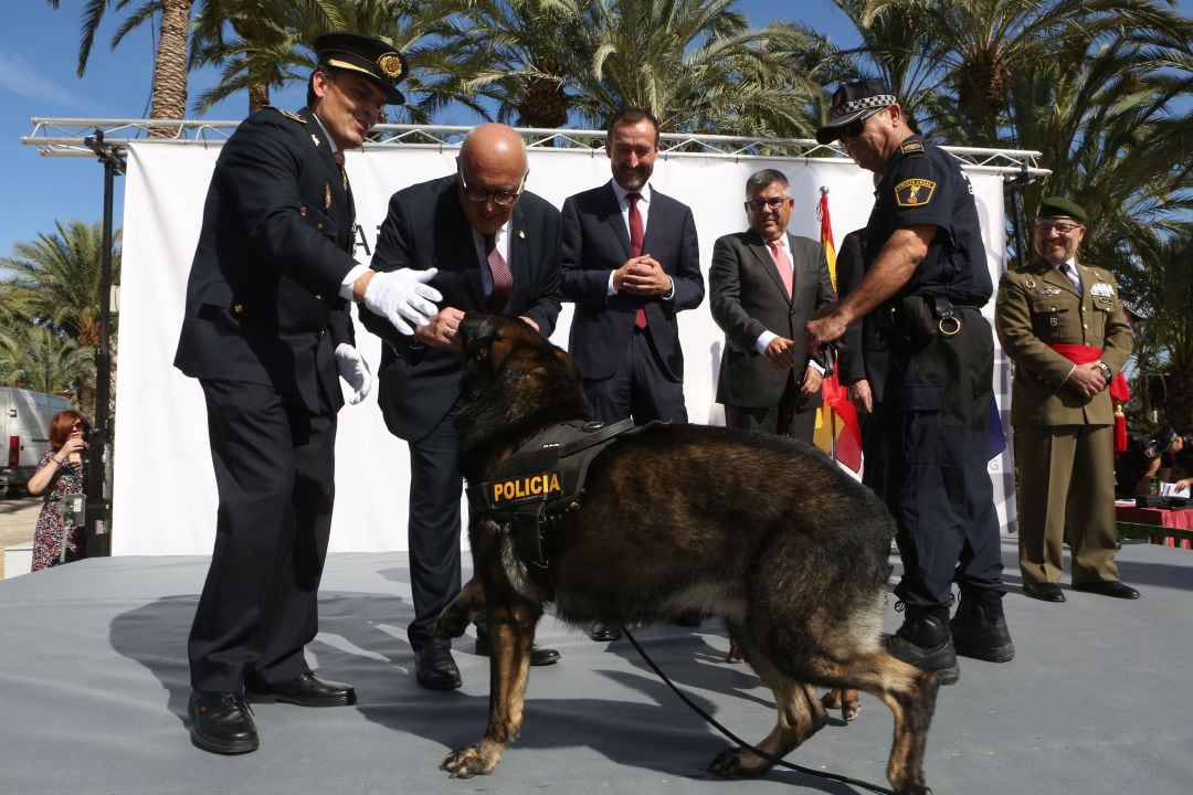 Perro policia Elche