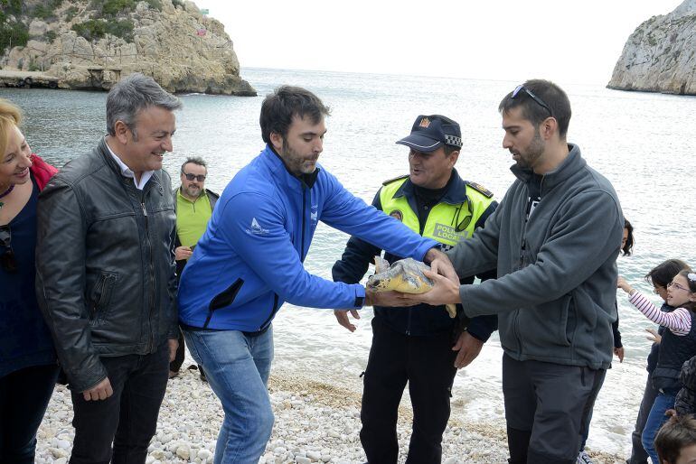 Suelta de la tortuga &#039;Della&#039; al mar en Xàbia.