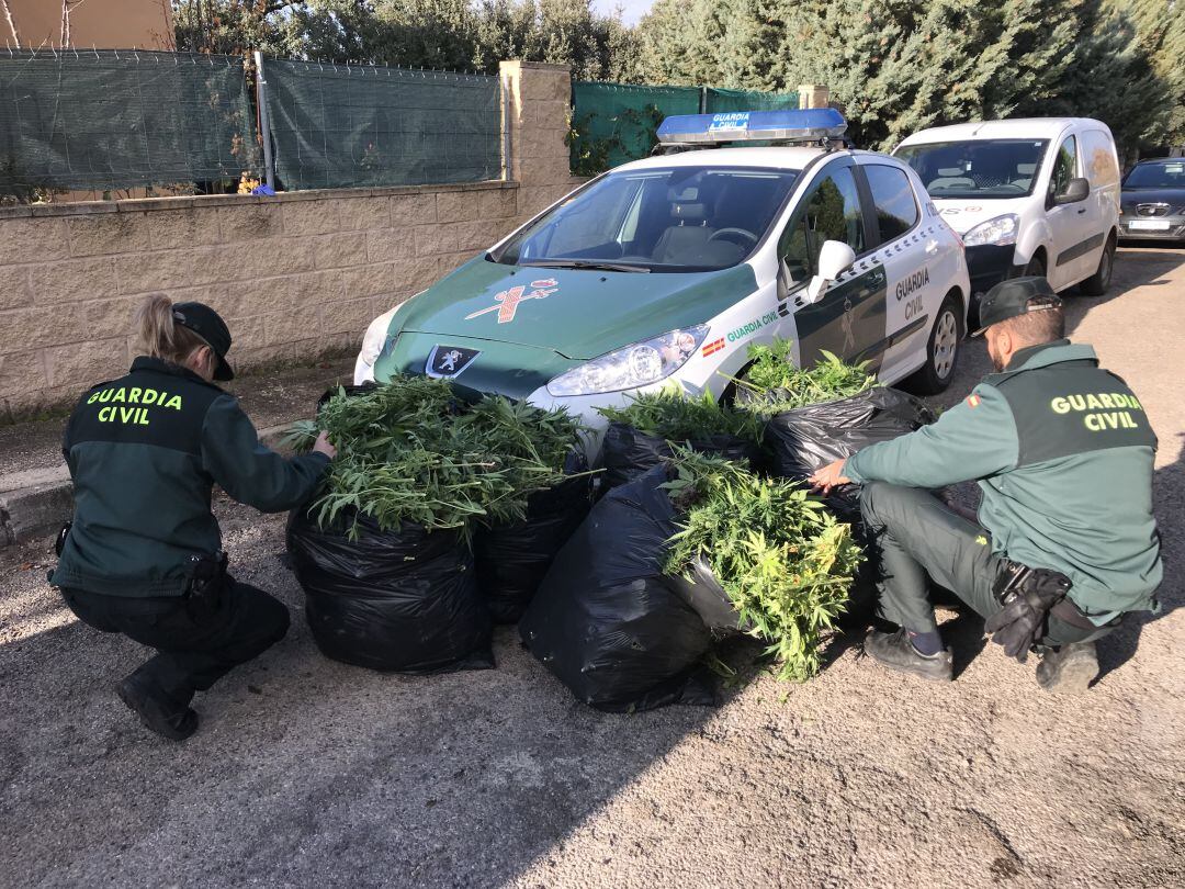 Marihuana incautada en Fuentenovilla