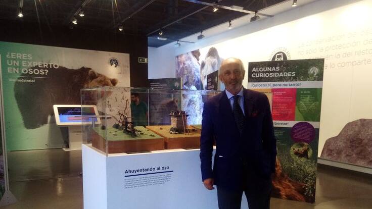 De los 80 osos registrados hace 25 años, hoy se contabilizan hasta 300 en la Cordillera Cantábrica