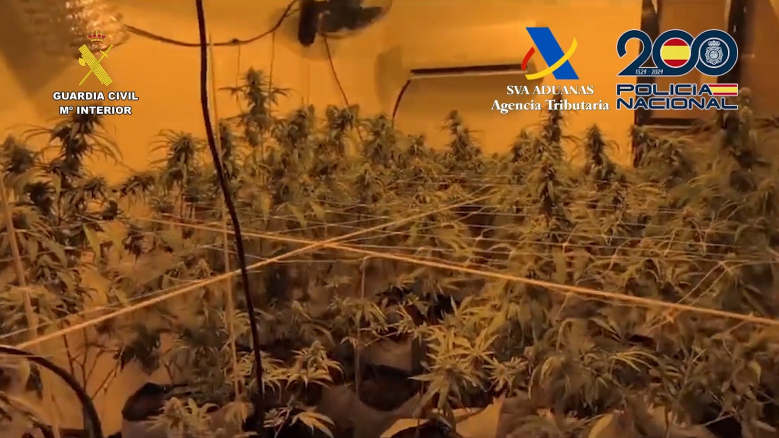 Desarticulada una organización criminal dedicada al contrabando de tabaco