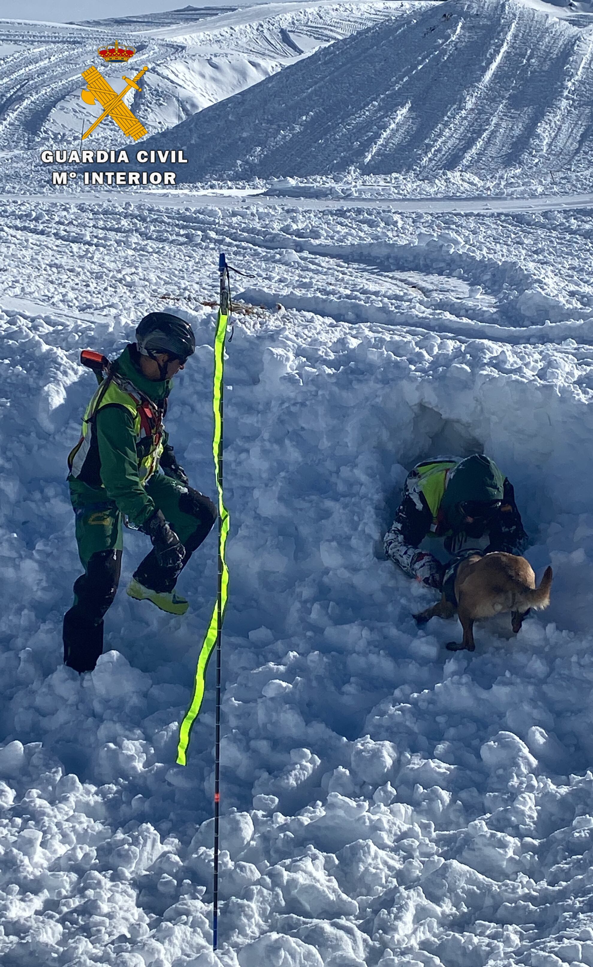Guardia Civil con perros de búsqueda en avalanchas