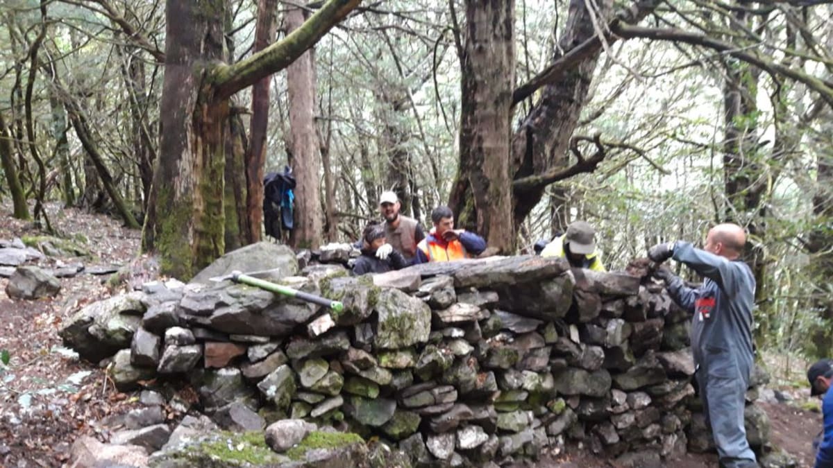 Terra Levis octubre 2019