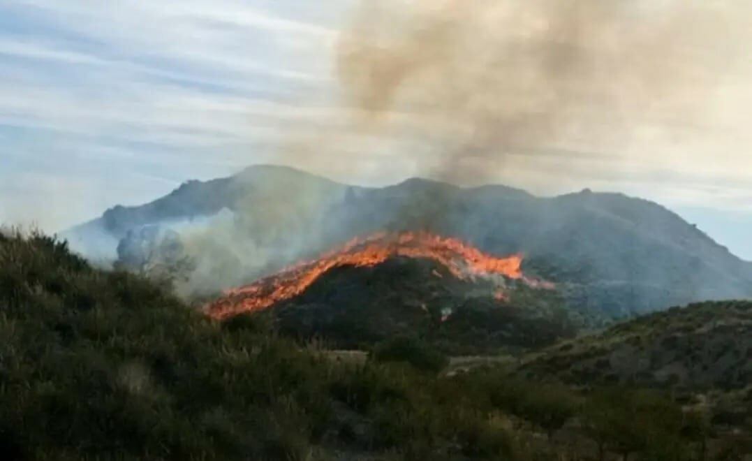 Incendio en un paraje de Lorca