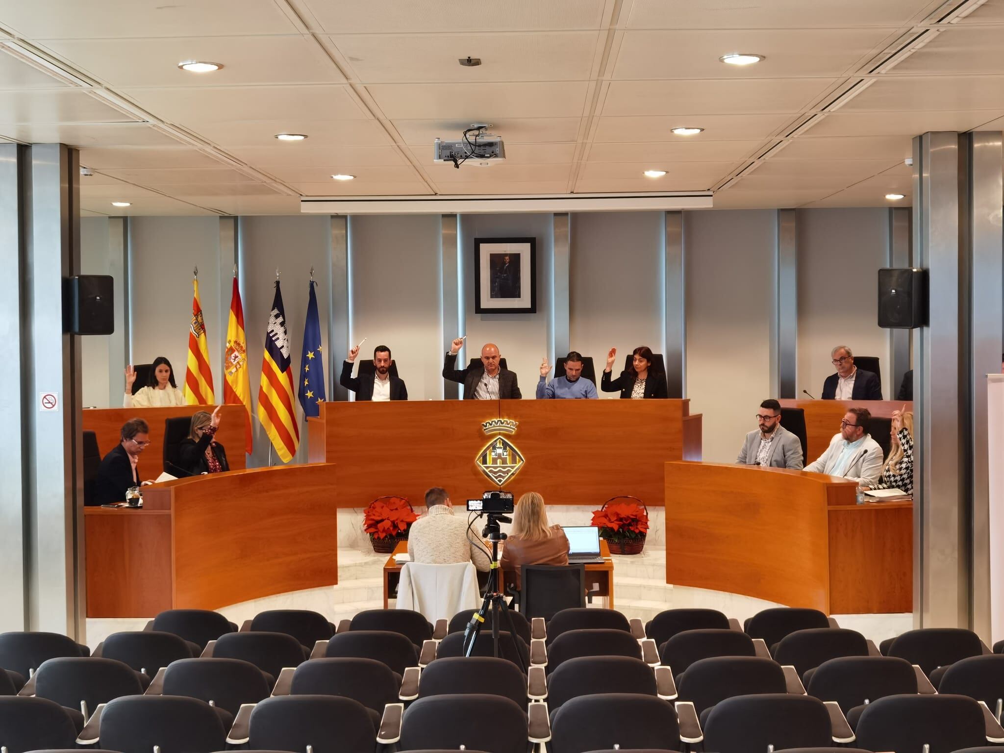 Imagen del pleno del Consell de Ibiza