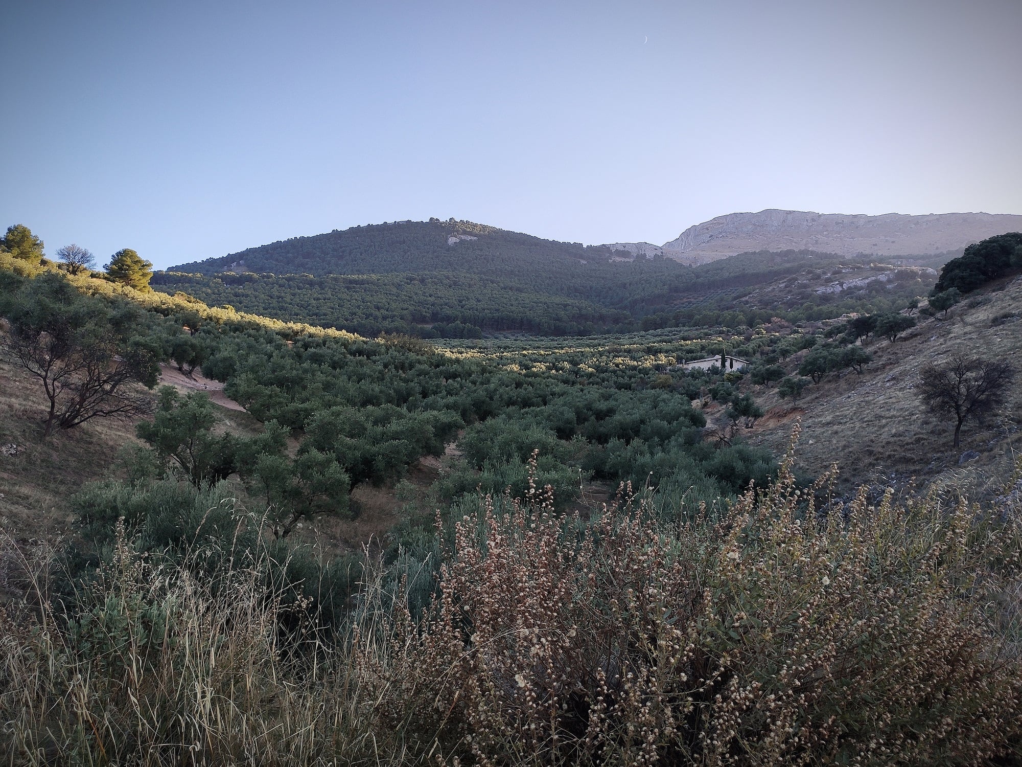 Paisaje de olivar y montaña en la provincia de Jaén.