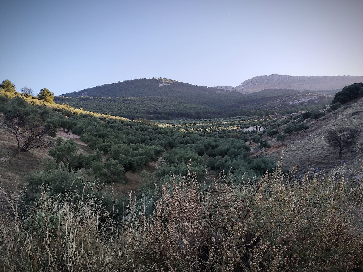 La biodiversidad y la agricultura, ejes de un Congreso en Jaén que se inaugura este martes