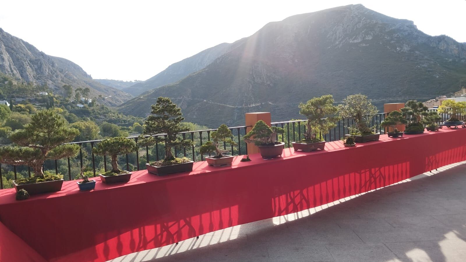 Feria Gastronómica de Dos Aguas