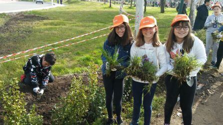 Participantes en celebración Día del Árbol