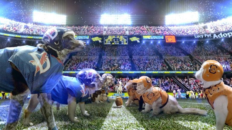 Imagen del spot para la Super Bowl 2015 de Lucy Pet Foundation