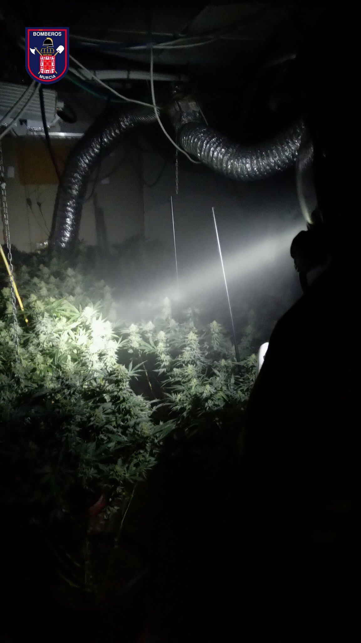 Incendio en una plantación de marihuana en Puebla de Soto (Murcia)