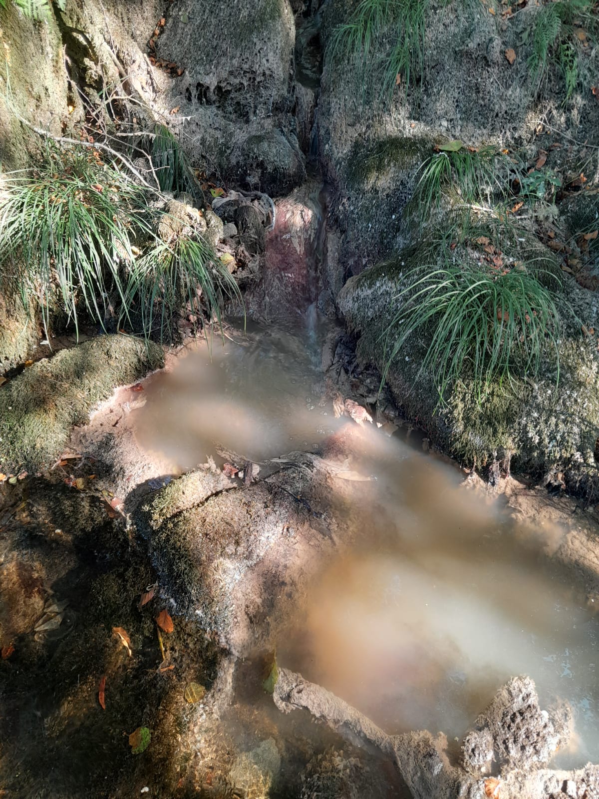 Aguas contaminadas en el río Oitavén