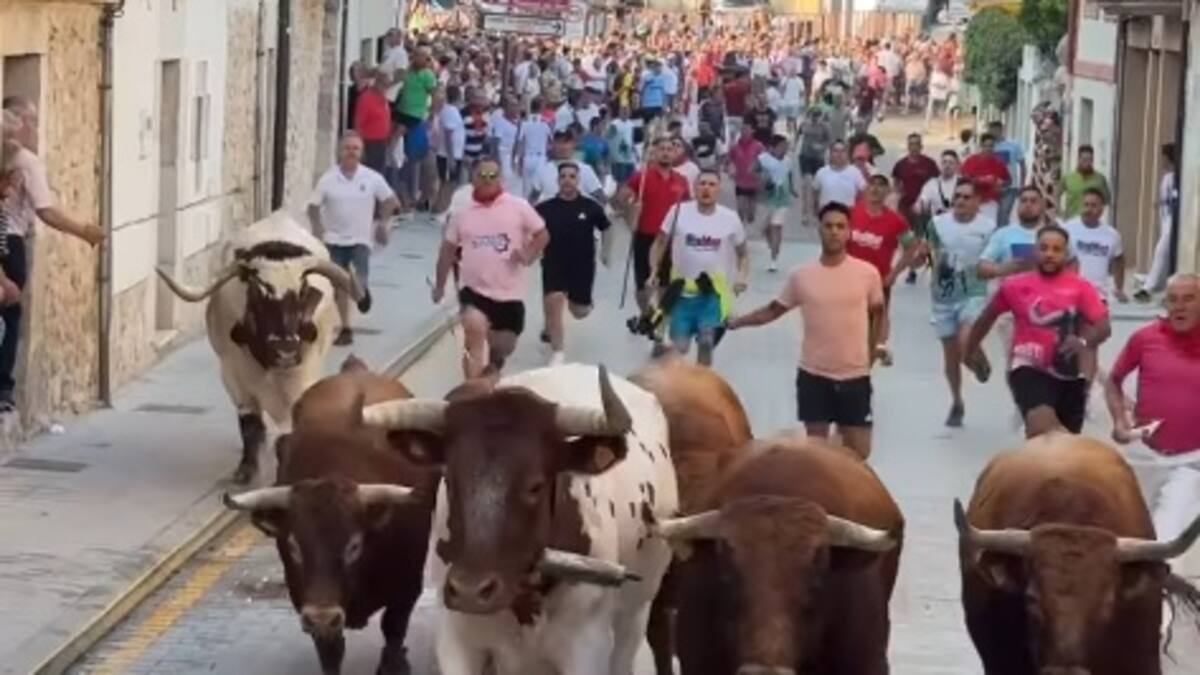 Tensión en el primer encierro de las fiestas de Peñafiel