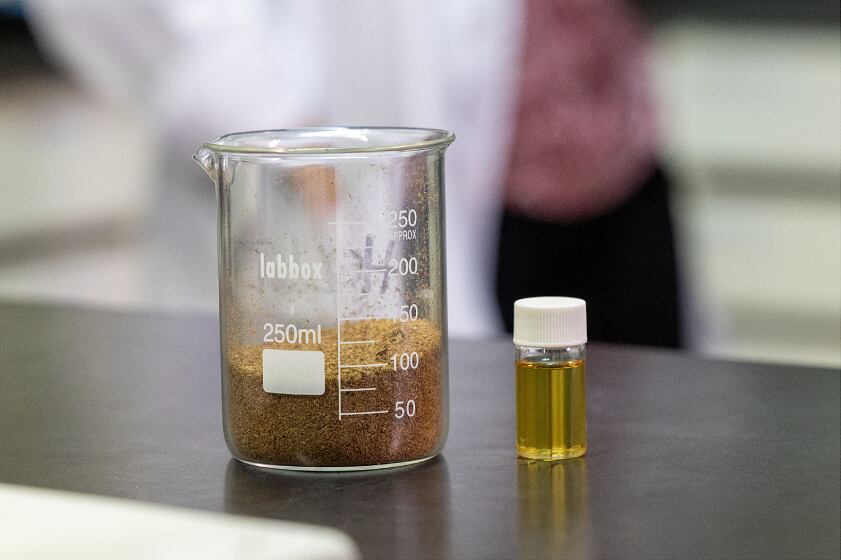 La Universidad de Zaragoza, Bugcle Bioindustrias y Bodega Sommos participan en la investigación