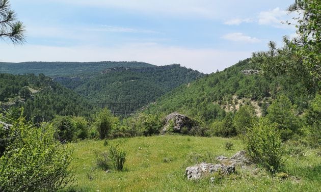 El paisaje típico de la Serranía de Cuenca lo encontramos a lo largo de la ruta.