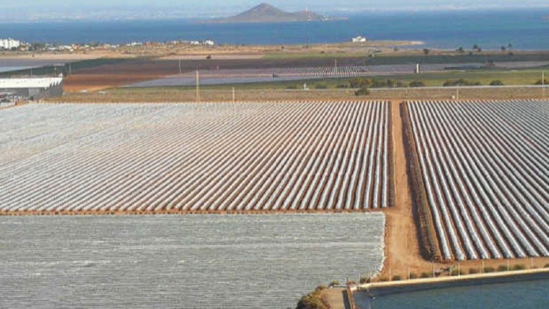 Cultivos en el entorno del Mar Menor