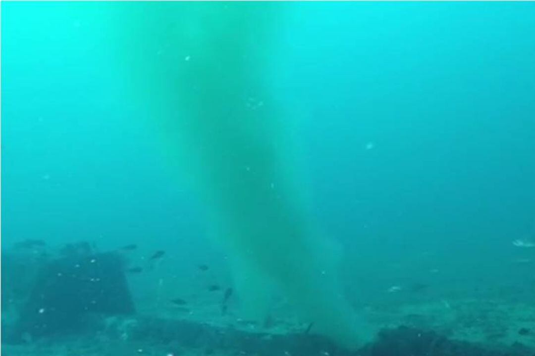 Vertidos en Playa den Bossa