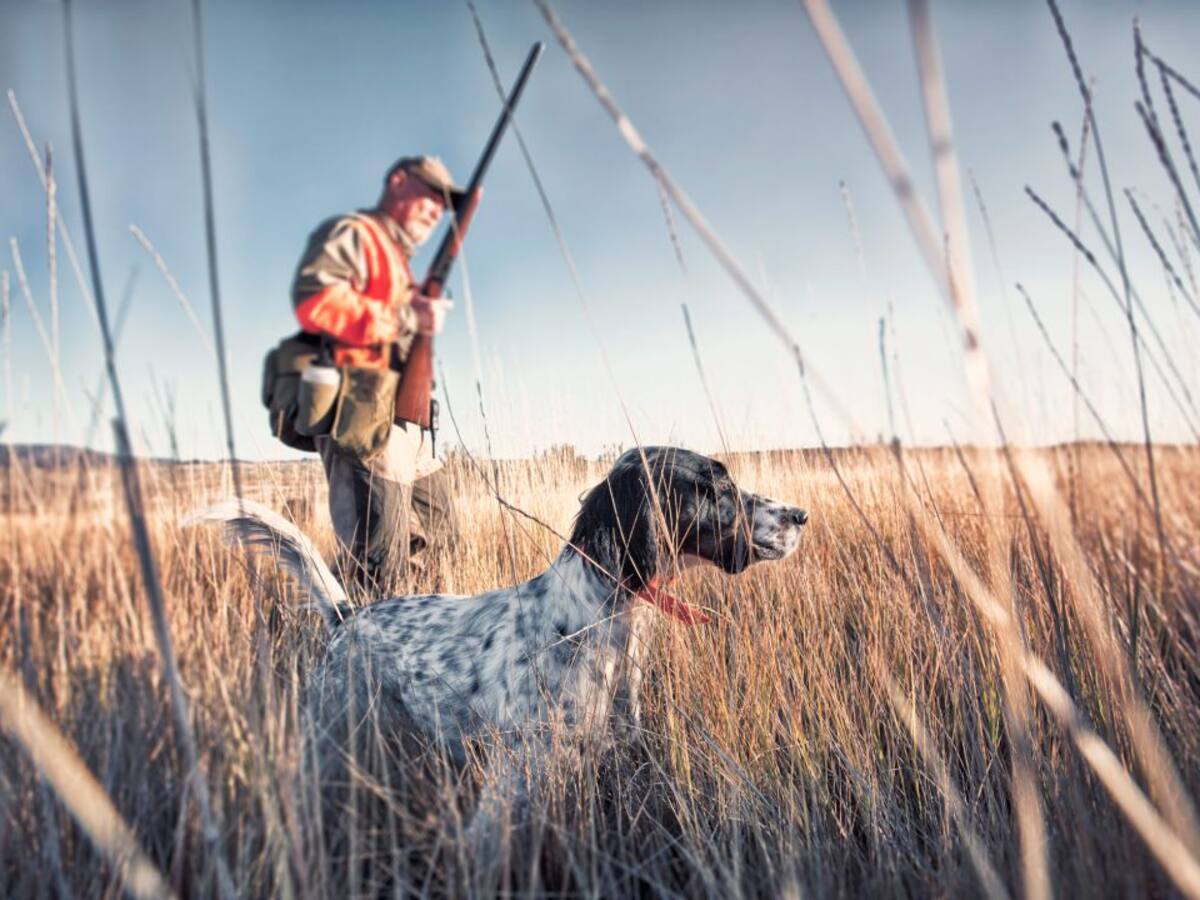 Prohibido salir o entrar en Castilla La Mancha para cazar