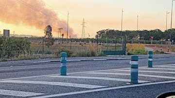 Gandia prevé un "verano complicado" por los incendios, si no llueve esta primavera
