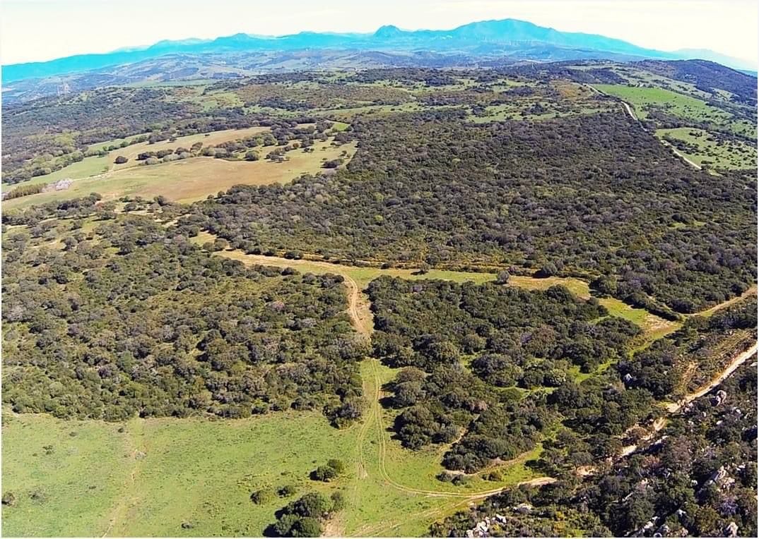 Finca La Cierva y La Guillena.