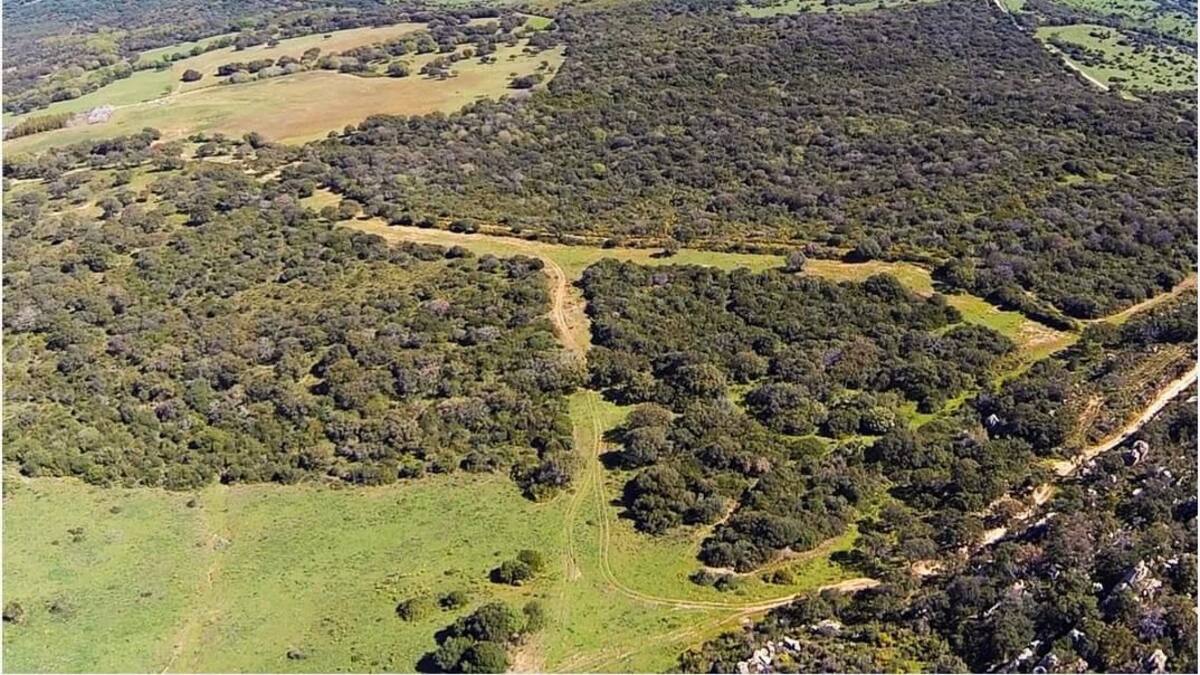 Aprobado el último paso para la autorización de la Junta del Proyecto La Zagaleta en Castellar