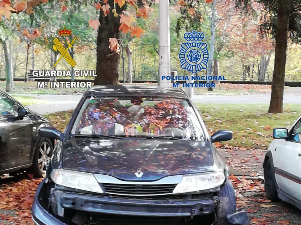 Detenidos dos jóvenes tras una accidentada persecución en Toreno