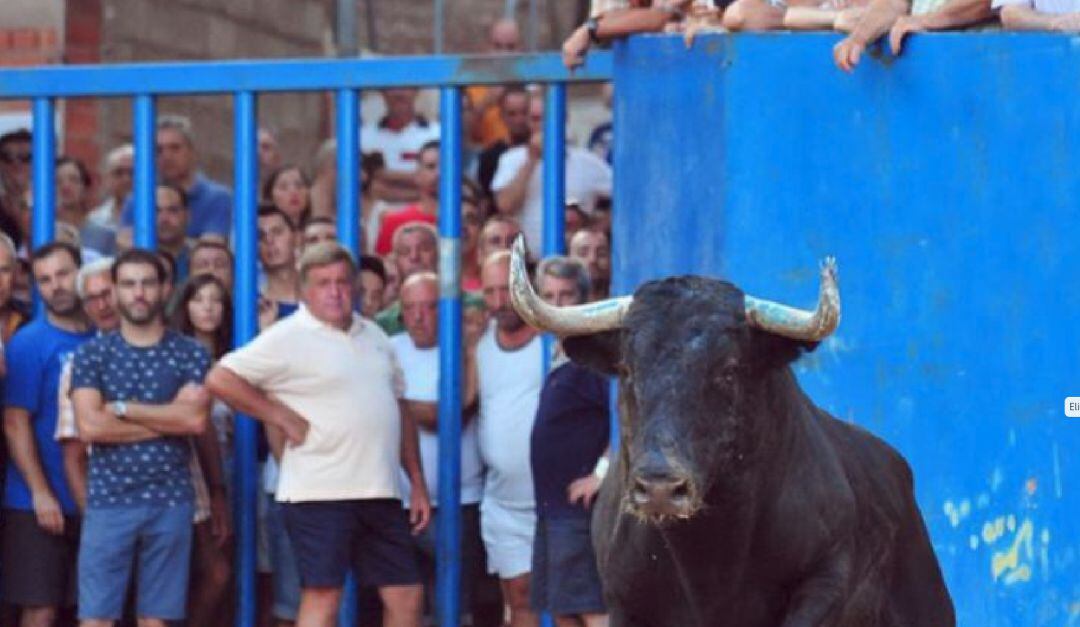 Imagen de un acto de bous al carrer