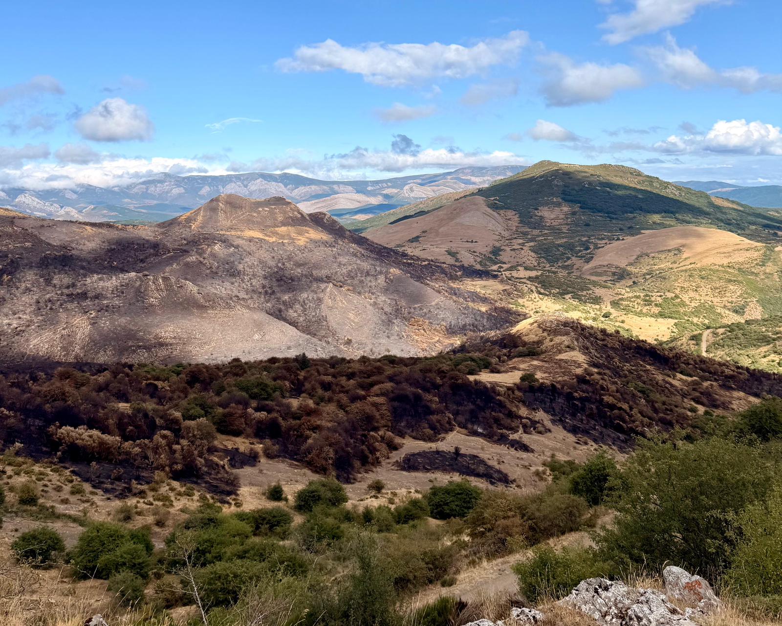 Imagen de una zona de la Montaña Palentina afectada por el fuego