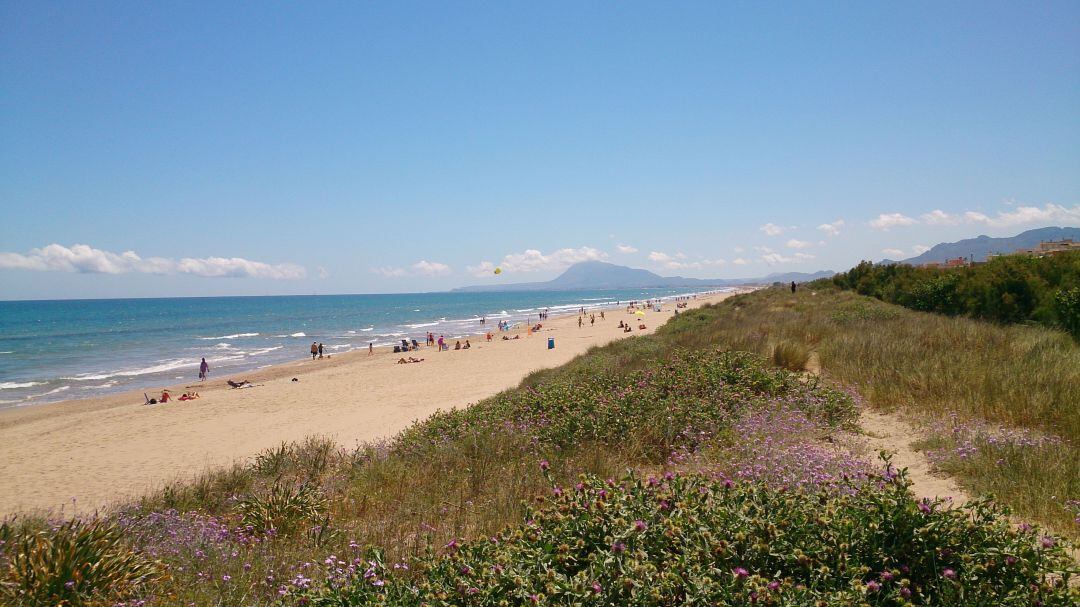 Panorámica de las playas de Oliva 