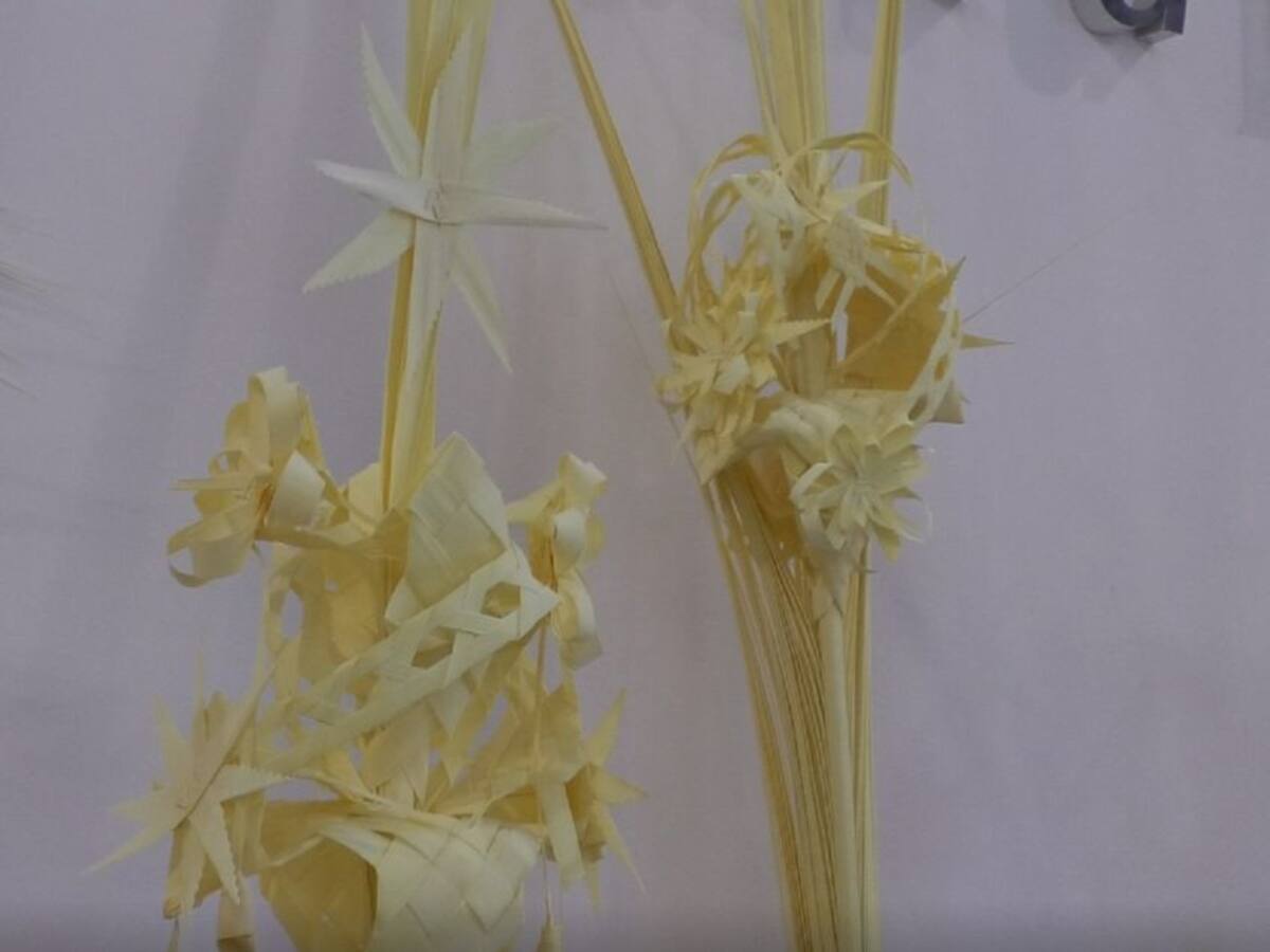 Vuelve el mercado para comprar Palma blanca en la Plaza de Baix