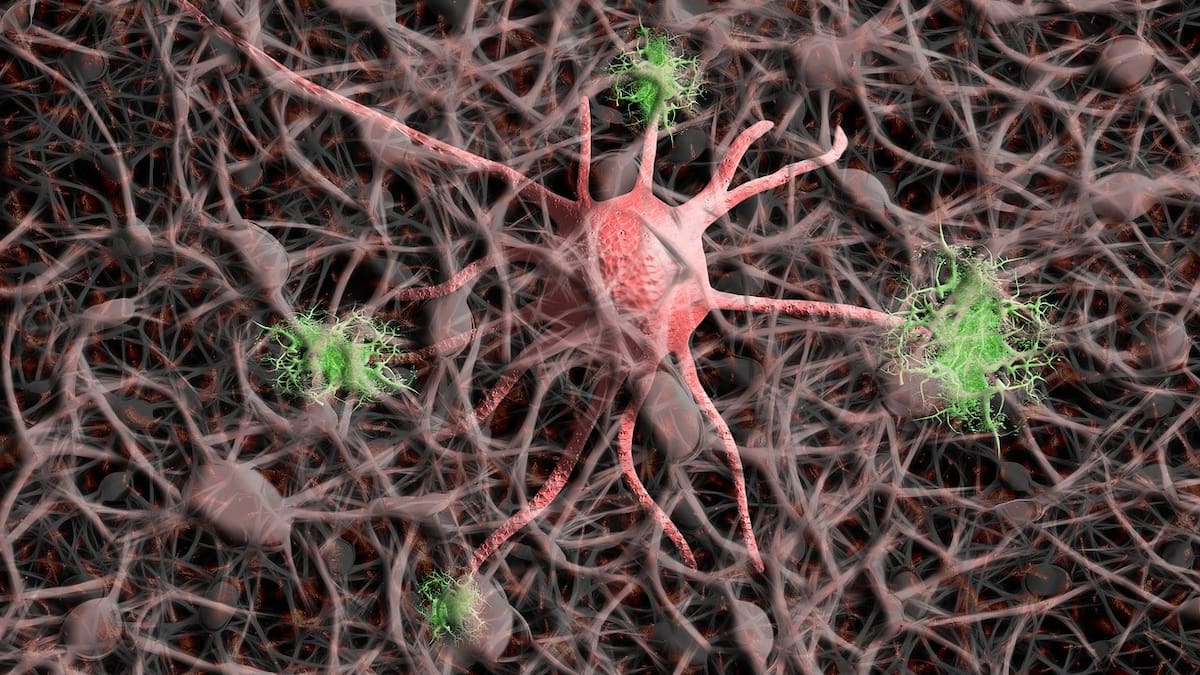 Sobre un laboratorio para hombres, la memoria y los techos de cristal