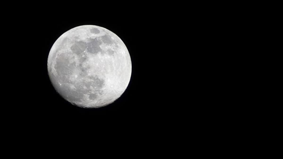 David: "Mi mujer no tiene derecho a paro por haber renunciado a un empleo precario"