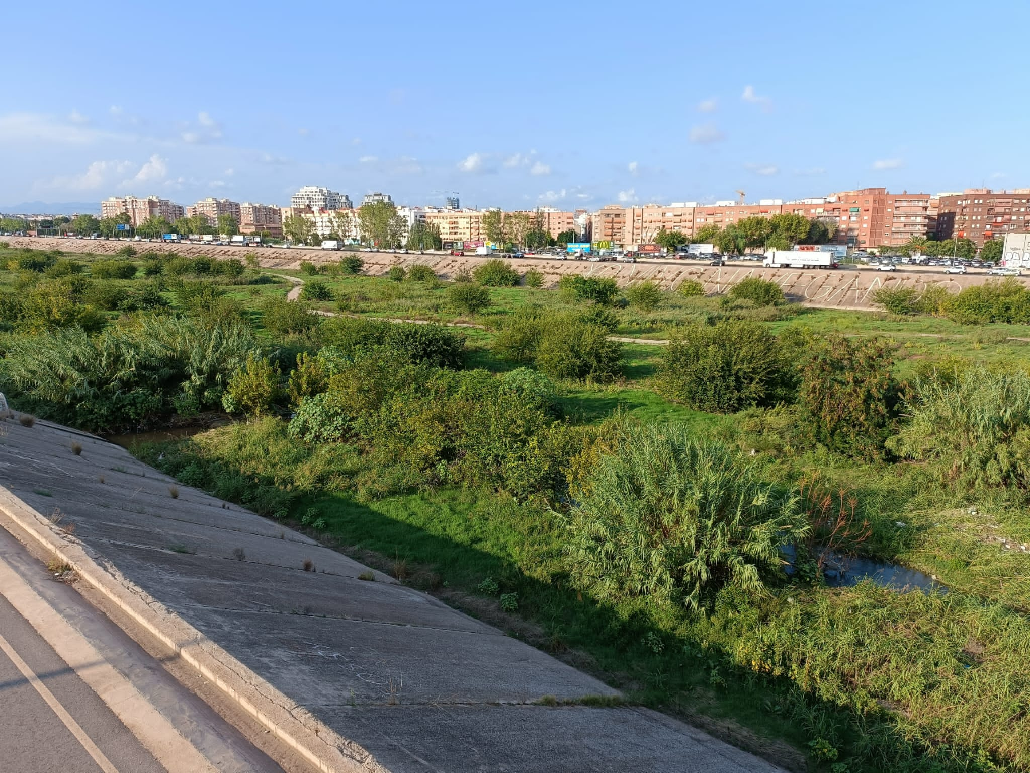 Vegetación acumulada en el tramo final del nuevo cauce del Turia