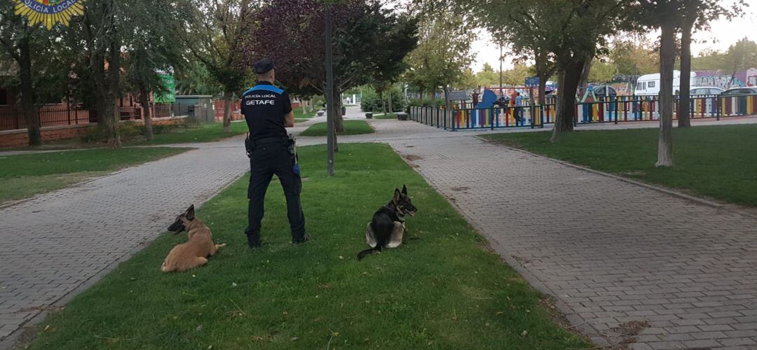 Los agentes realizan dispositivos antidroga junto a sus perros policía