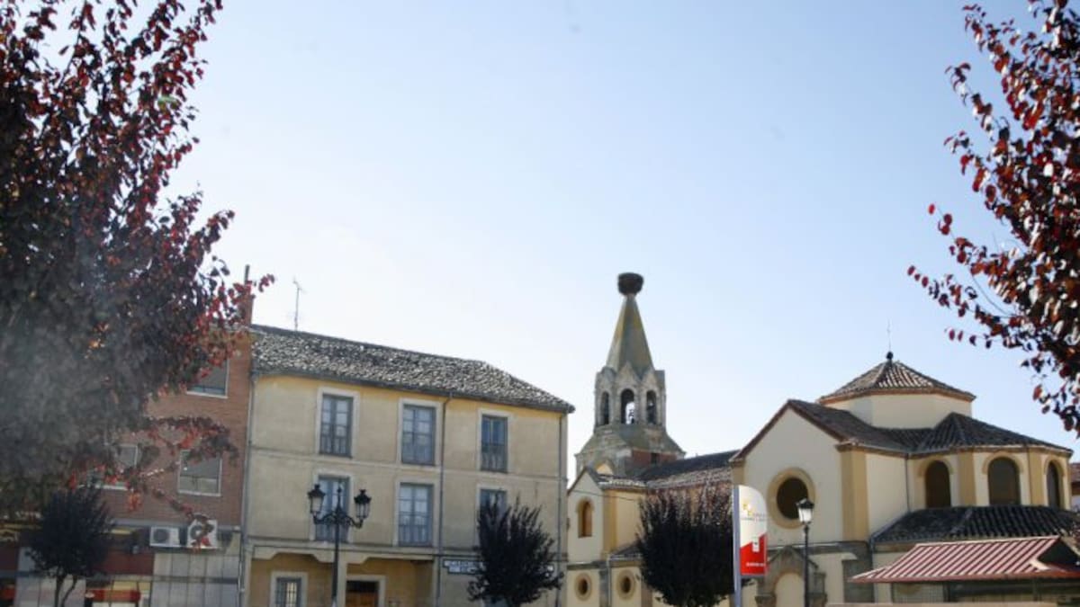 La Junta impulsa un nuevo centro logístico de biomasa forestal en Alar del Rey