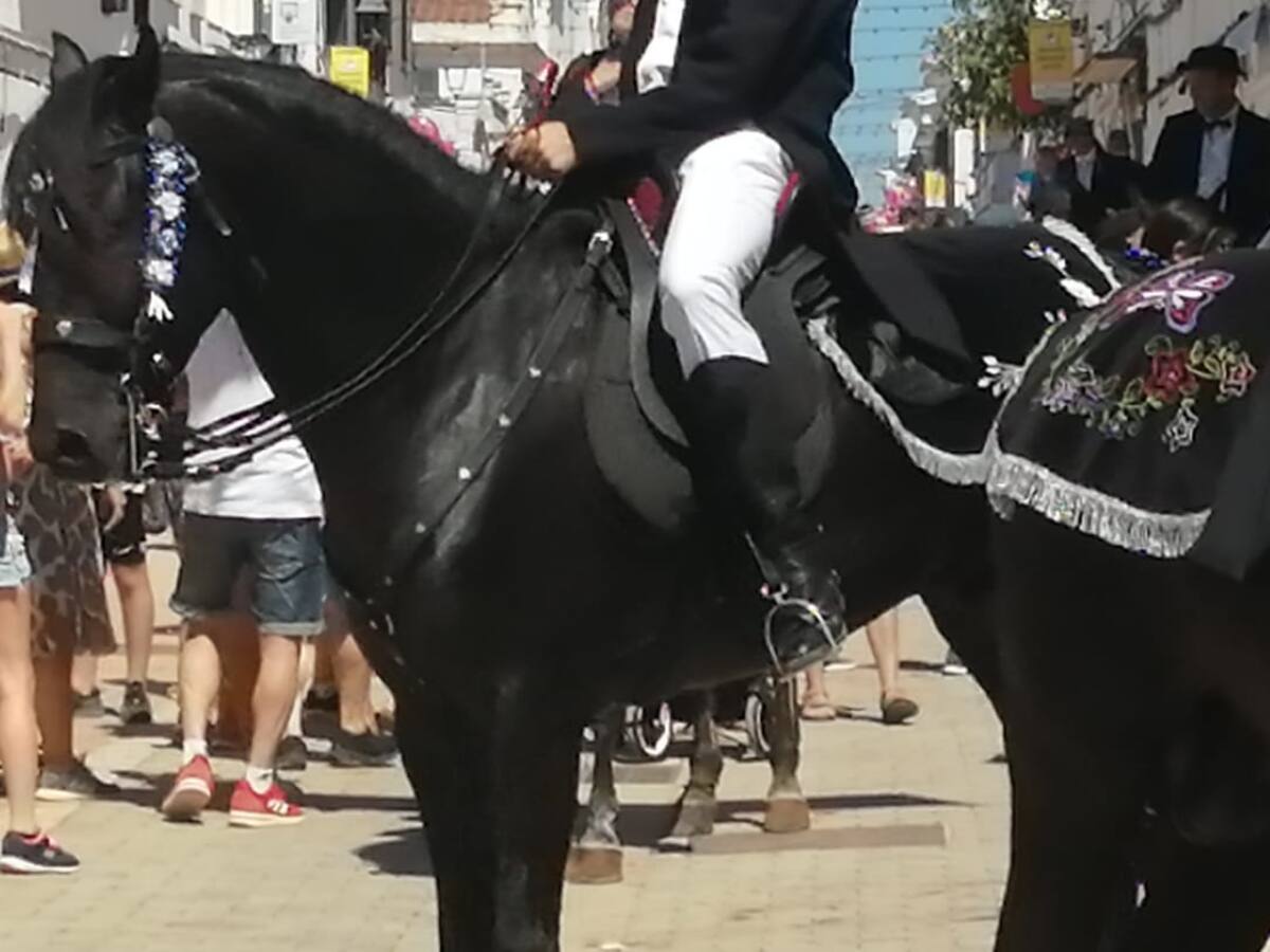 Creu Roja va atendre 48 persones a les festes de Sant Lluís