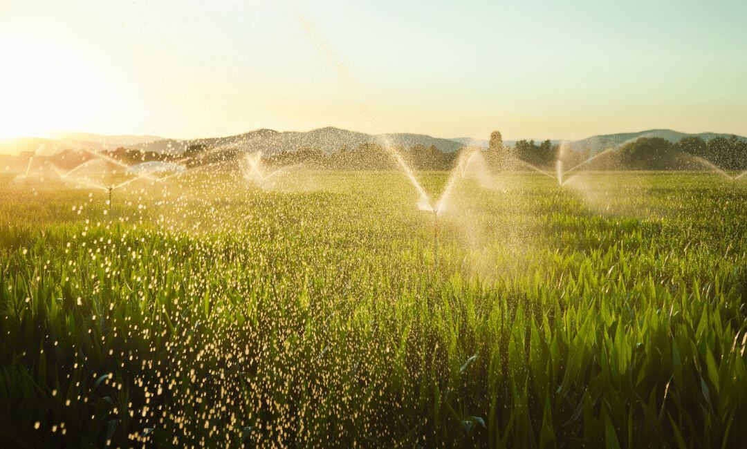 El canon grabará las captaciones de agua para riego 