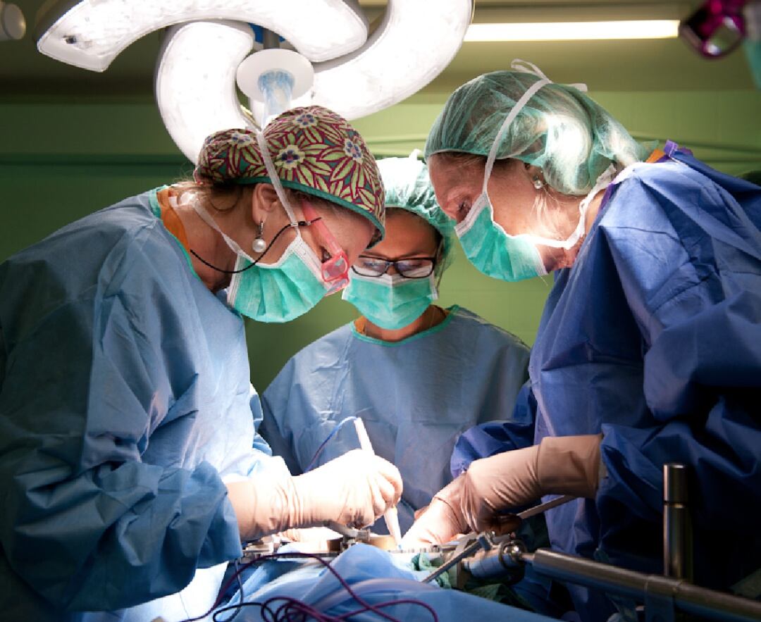 Imatge d'una cirurgia ginecològica realitzada pels professionals de Bellvitge