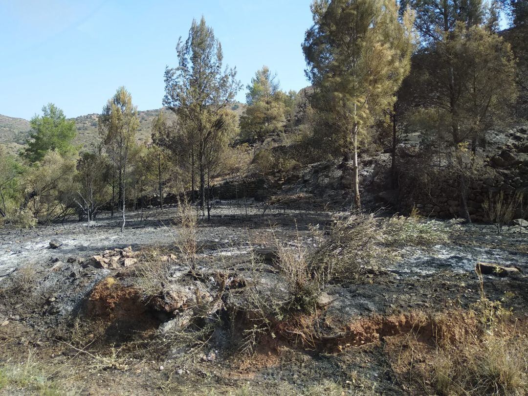 El incendio forestal de Azuébar empezó el 14 de agosto y aún no se ha dado por extinguido