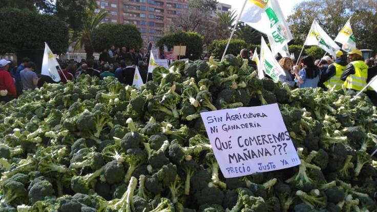 El campo de Murcia retomará las movilizaciones por los precios "ruinosos" de las hortalizas