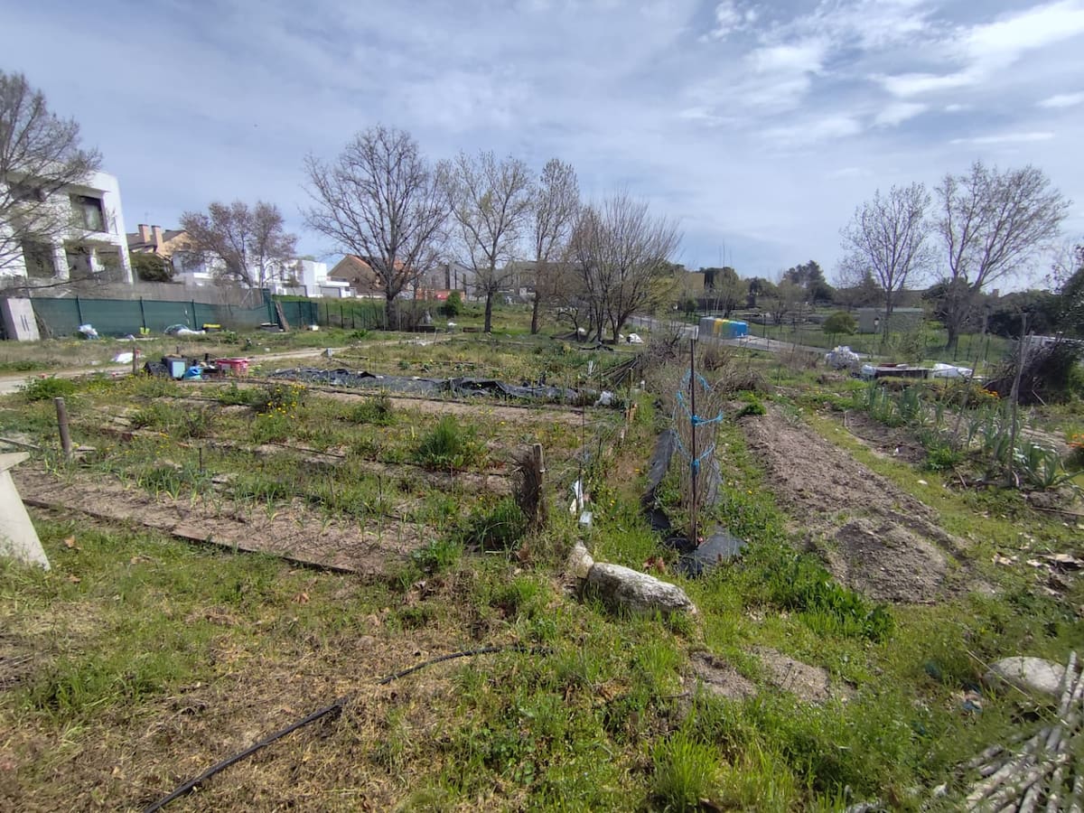 El PSOE de Torrelodones denuncia falta de transparencia en los huertos urbanos municipales