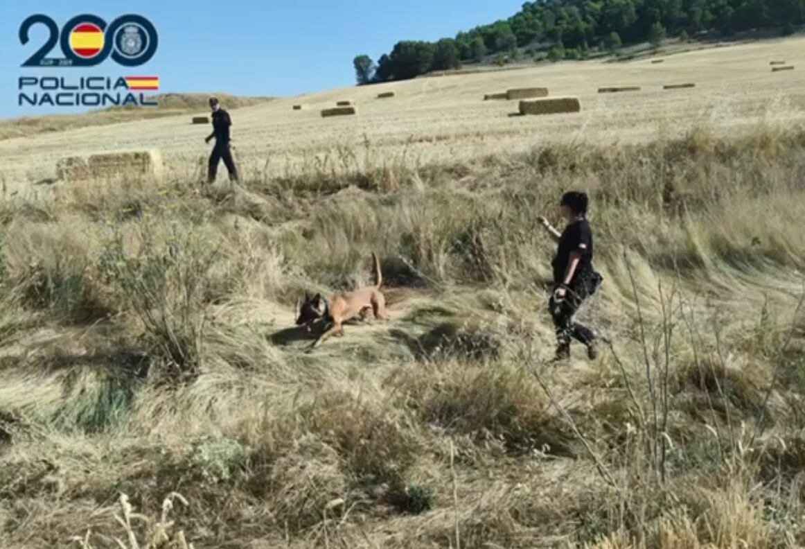 La Policía Nacional continúa con las labores de búsqueda de la mujer desaparecida el pasado 4 de agosto en Palencia
