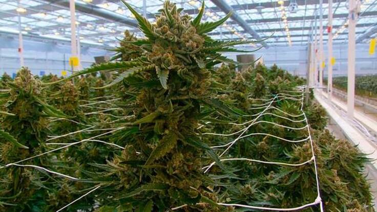 Pablo Soria, responsable de UGT, sobre los avances en Ondara