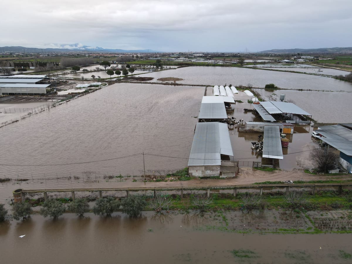 Los ganaderos de la comarca piden la declaración de zona catastrófica tras las inundaciones de sus granjas