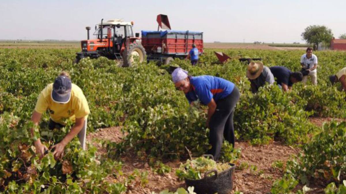 Trabajadores en el campo